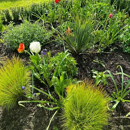 Prázdninový dům Balsoon Navan