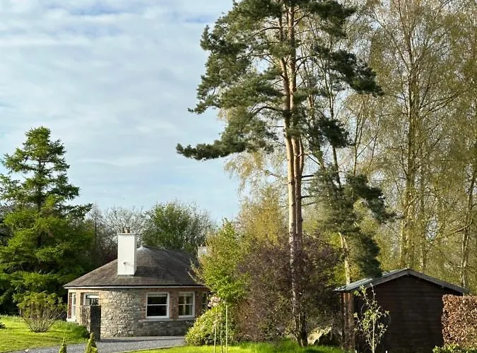 Balsoon Navan