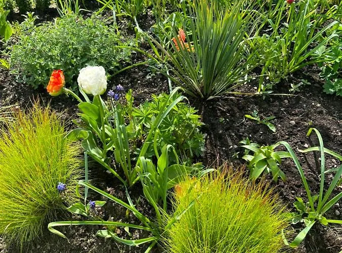 Ferienhaus Balsoon Navan